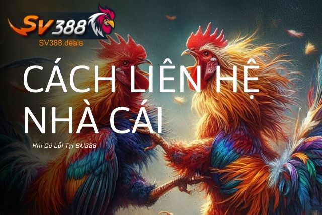 Cách Liên Hệ Nhà Cái Khi Có Lỗi Đăng Ký Đăng Nhập Tại SV388