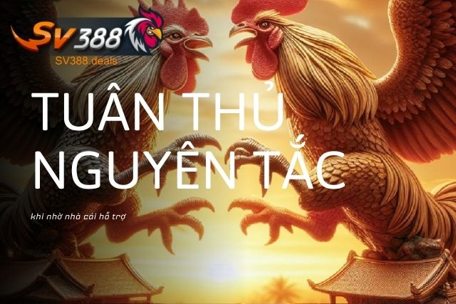 Tuân thủ nguyên tắc khi nhờ nhà cái hỗ trợ