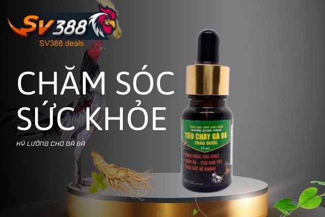 Chăm sóc kỹ lưỡng sức khỏe gà đá