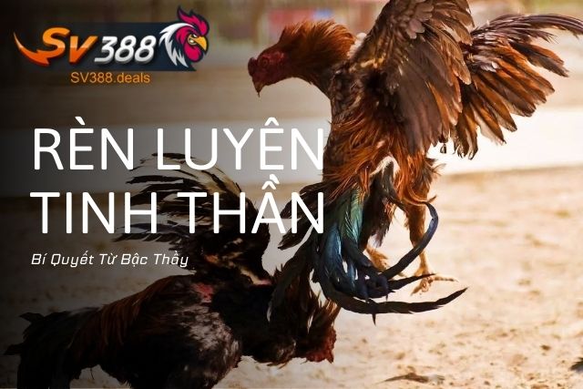 Các Phương Pháp Rèn Luyện Tinh Thần Cho Gà Đá: Bí Quyết Từ Bậc Thầy