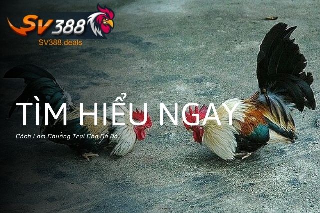 Tìm Hiểu Ngay Cách Làm Chuồng Trại Cho Gà Đá