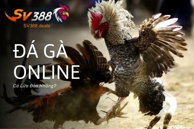 đá gà online có lừa đảo không