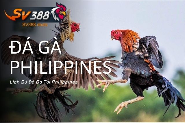 Lịch Sử Đá Gà Tại Philippines