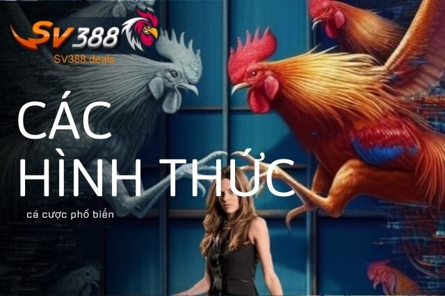 Các hình thức cá cược phổ biến