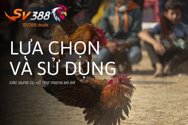 Dụng Cụ Hỗ Trợ Trong Đá Gà: Bí Quyết Lựa Chọn Và Sử Dụng