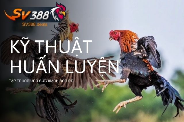 Kỹ thuật huấn luyện tập trung vào sức mạnh đòn đá