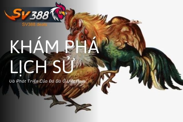 Lịch sử và phát triển của đá gà ở Việt Nam