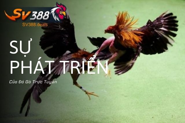 Sự Phát Triển Của Đá Gà Trực Tuyến