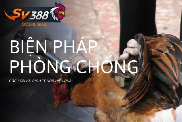 Biện pháp phòng chống các loại ký sinh trùng hiệu quả